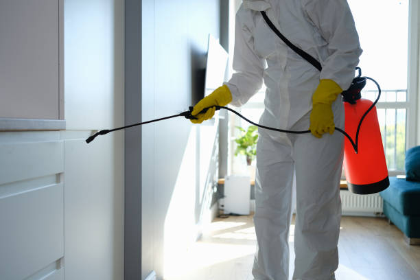 Mold Removal for HVAC Installations in Adel, GA