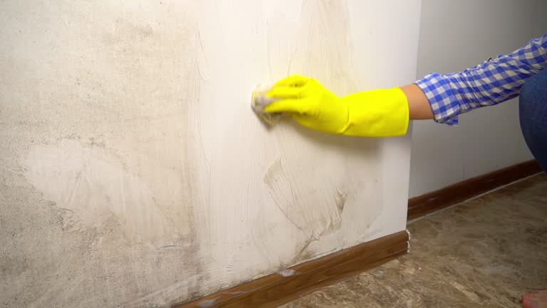 Best Real Estate Mold Inspection  in Adel, GA