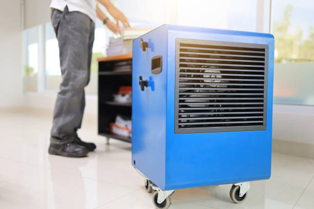 Best HVAC Mold Inspection and Cleaning  in Adel, GA