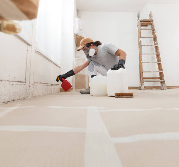Best Attic Mold Removal  in Adel, GA