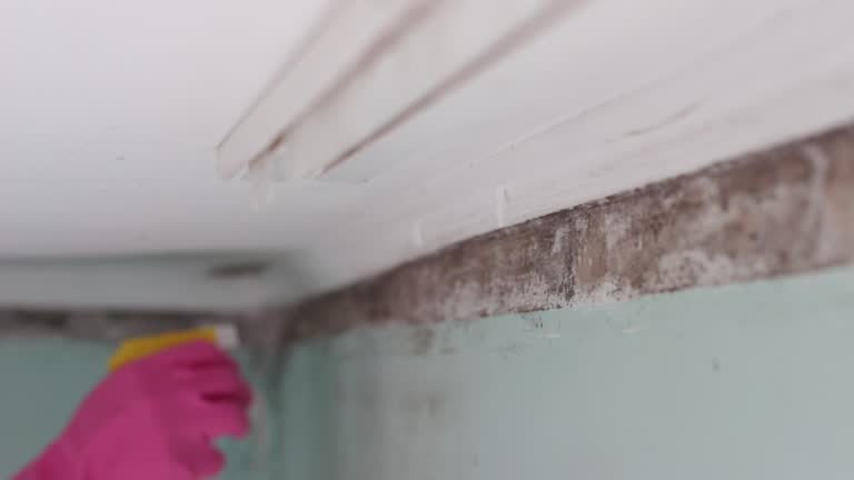 Best Mold-Related Health Consultation  in Adel, GA